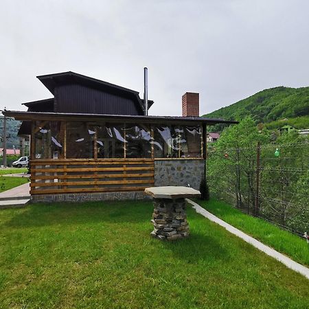 Casa Vio Guest House Nehoiu Exterior photo