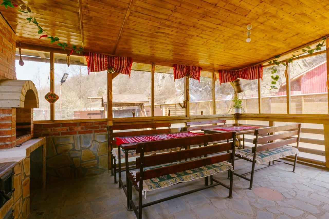 Casa Vio Guest House Nehoiu Exterior photo