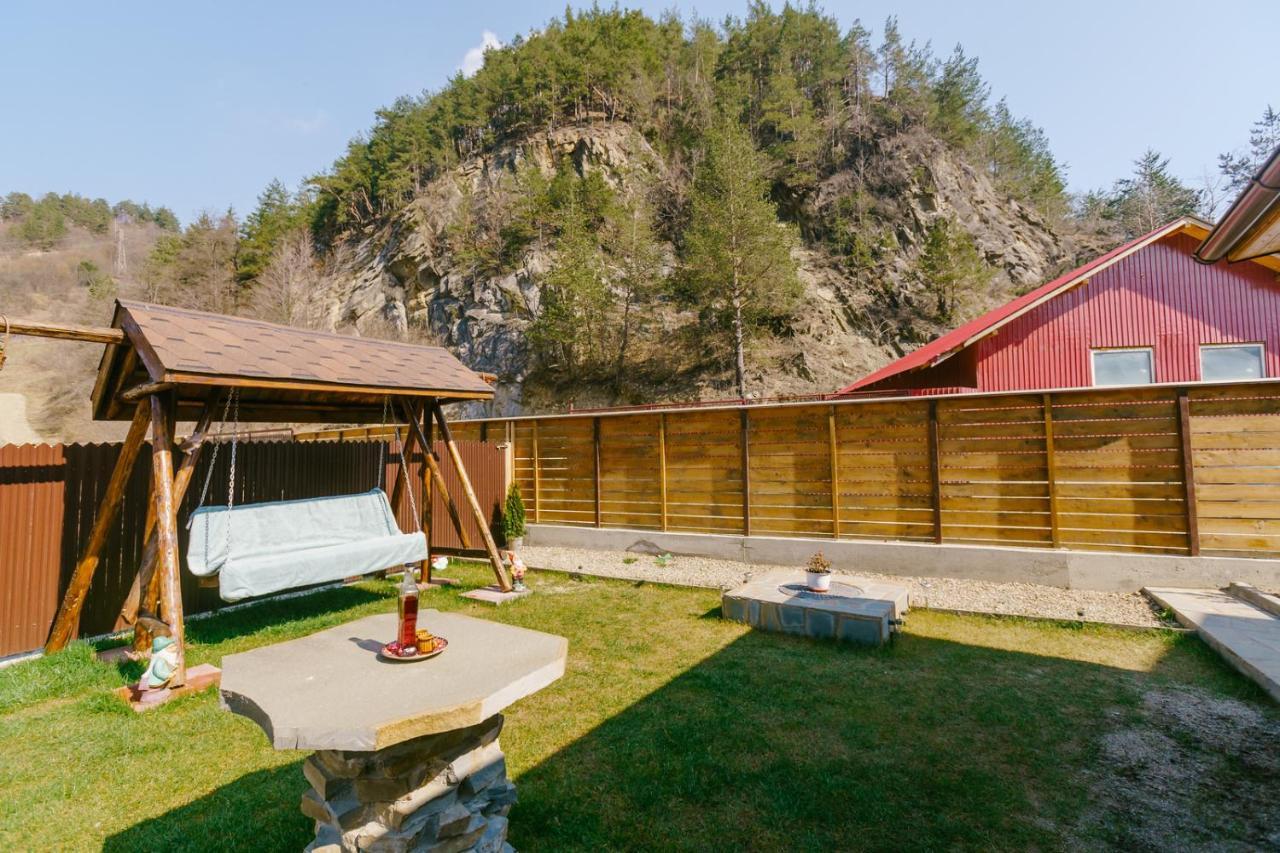 Casa Vio Guest House Nehoiu Exterior photo