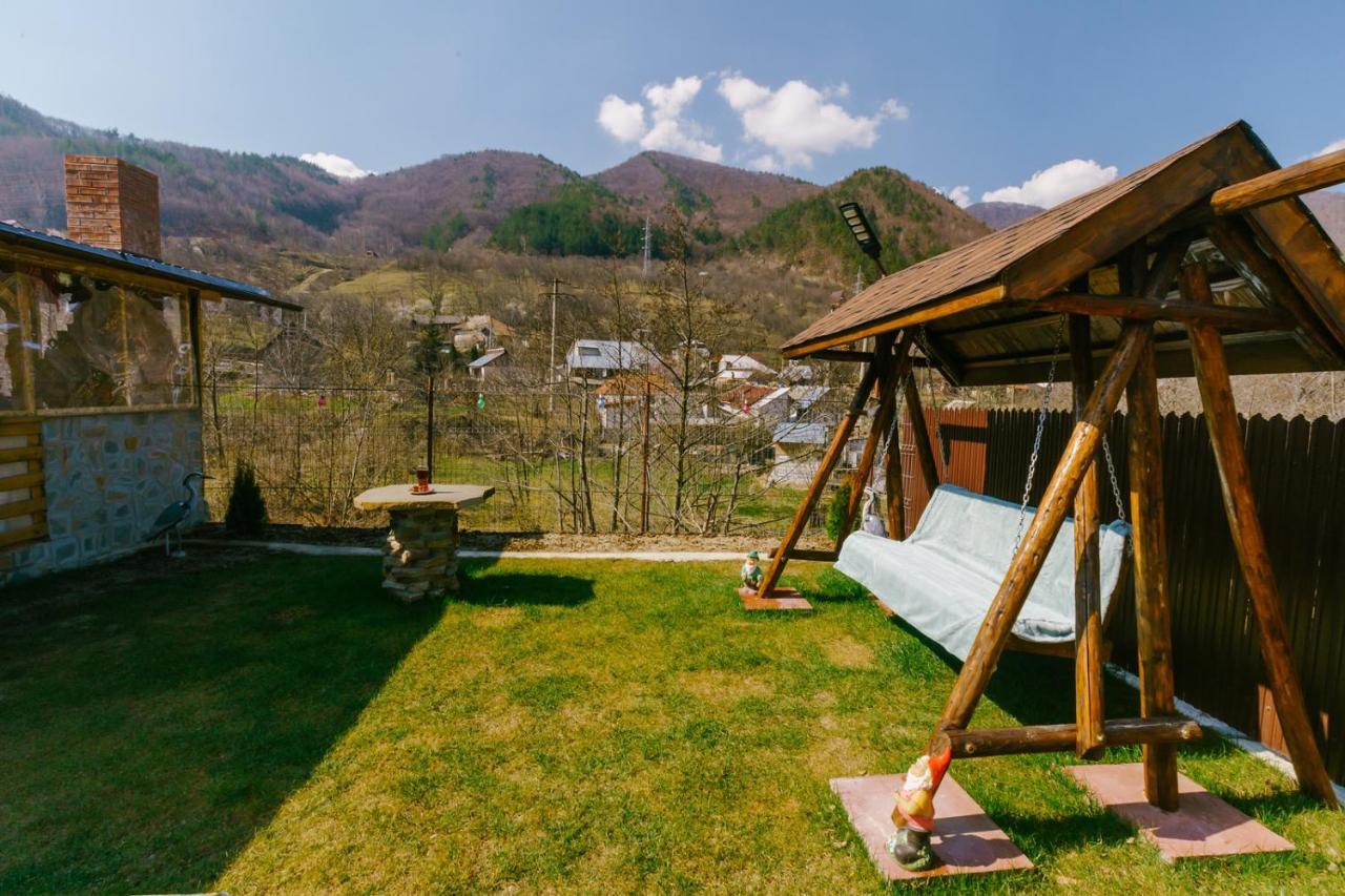 Casa Vio Guest House Nehoiu Exterior photo