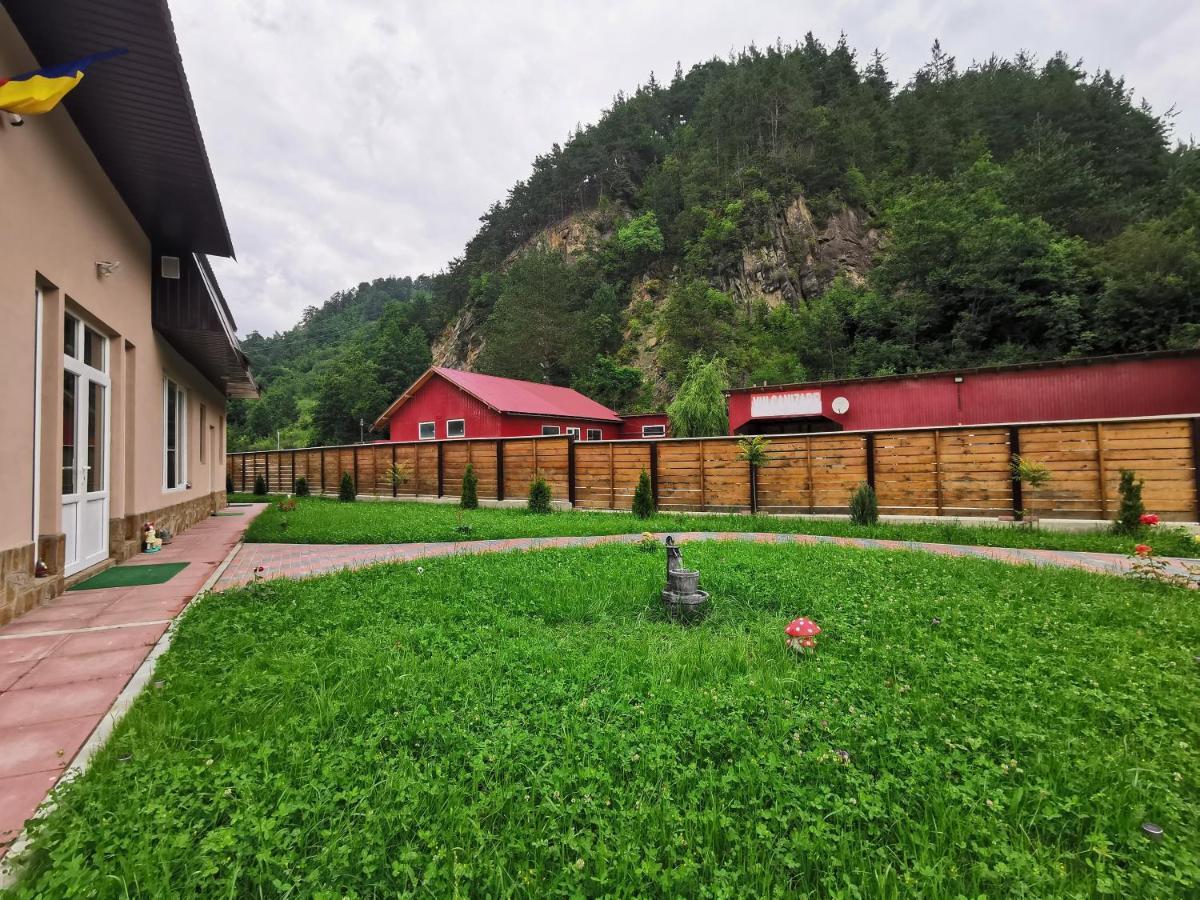 Casa Vio Guest House Nehoiu Exterior photo