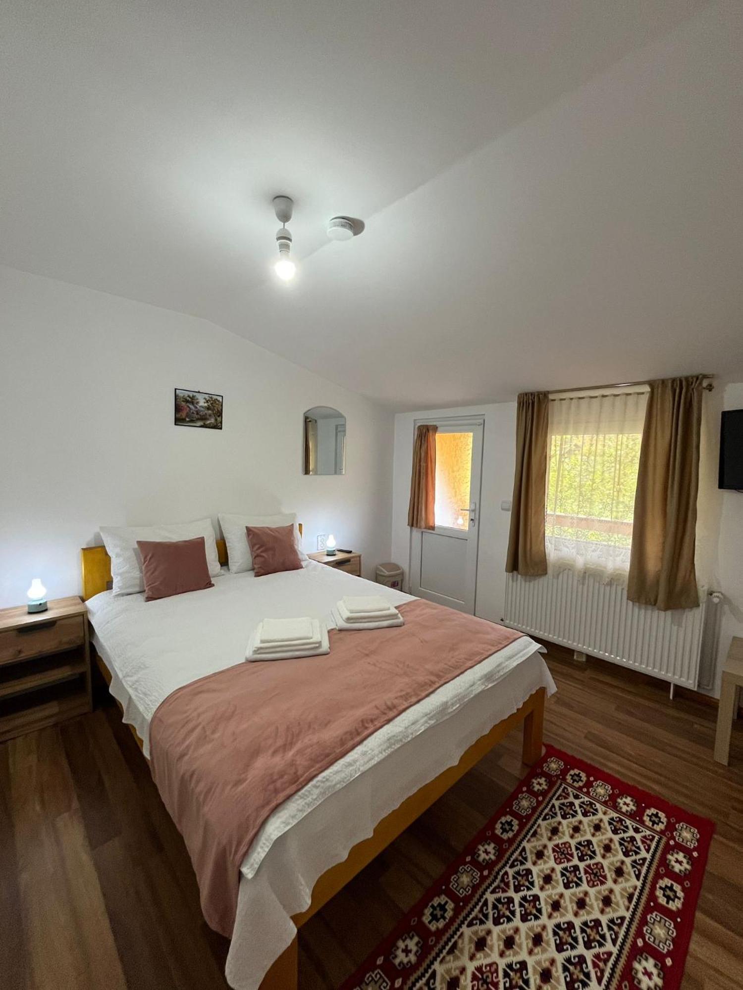 Casa Vio Guest House Nehoiu Exterior photo
