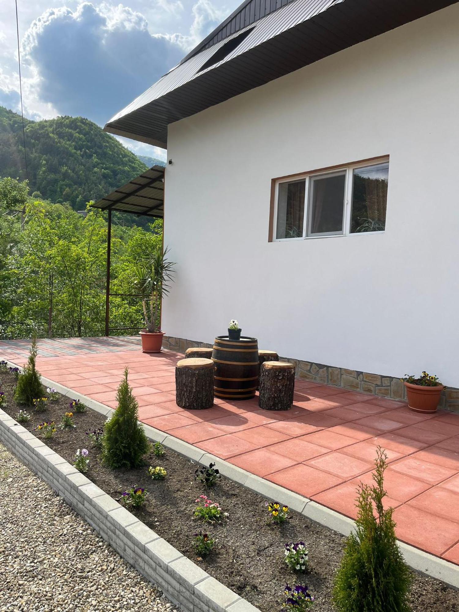 Casa Vio Guest House Nehoiu Exterior photo