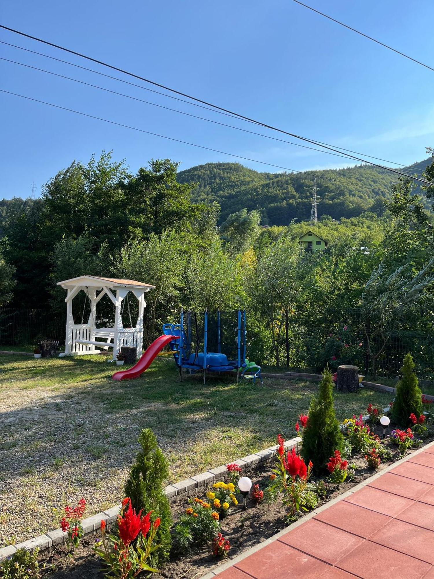 Casa Vio Guest House Nehoiu Exterior photo
