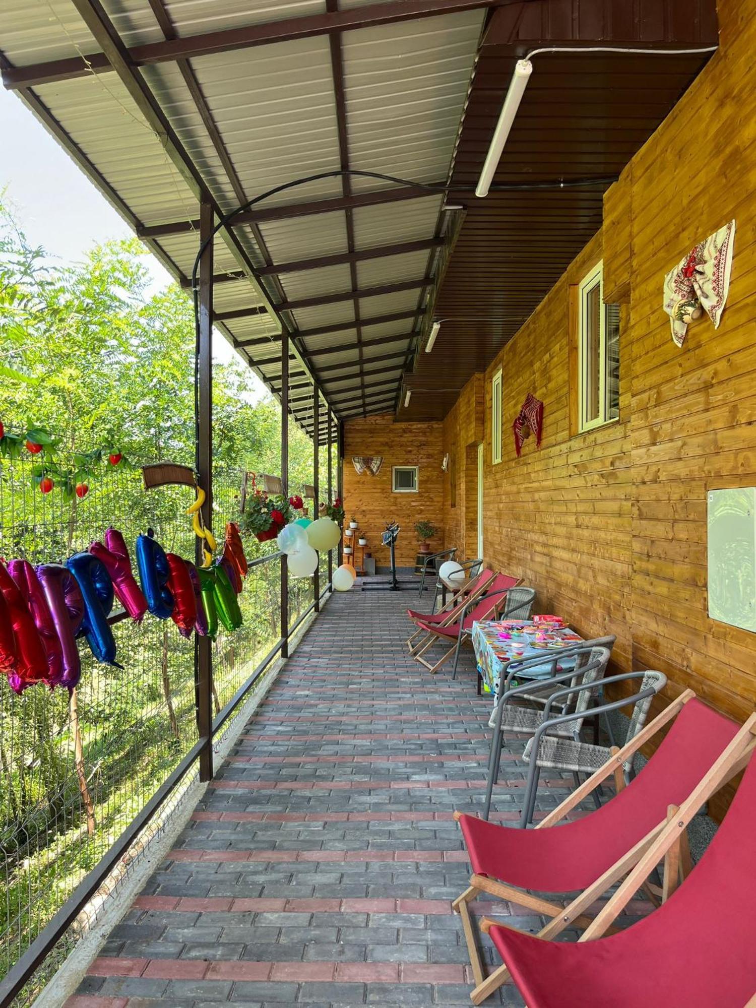 Casa Vio Guest House Nehoiu Exterior photo