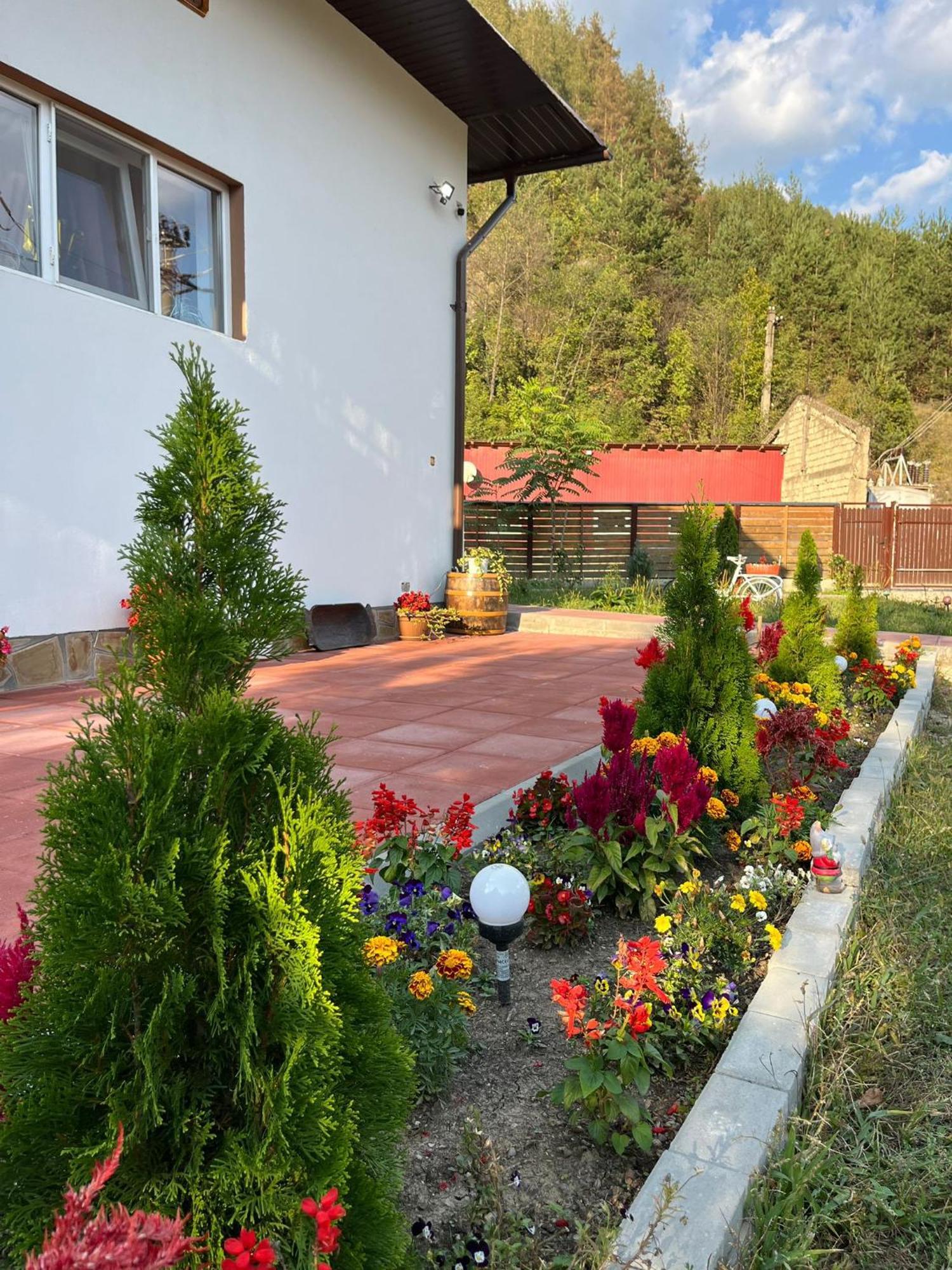 Casa Vio Guest House Nehoiu Exterior photo